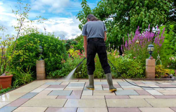 Best Animal Enclosure Cleaning  in Dublin, CA